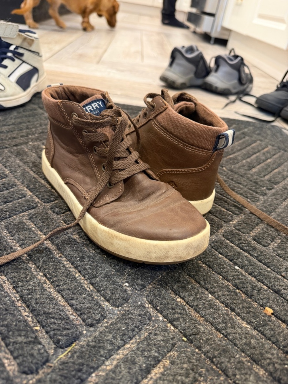 Sperry Brown Leather Kids High-Top Sneakers with Cream Sole